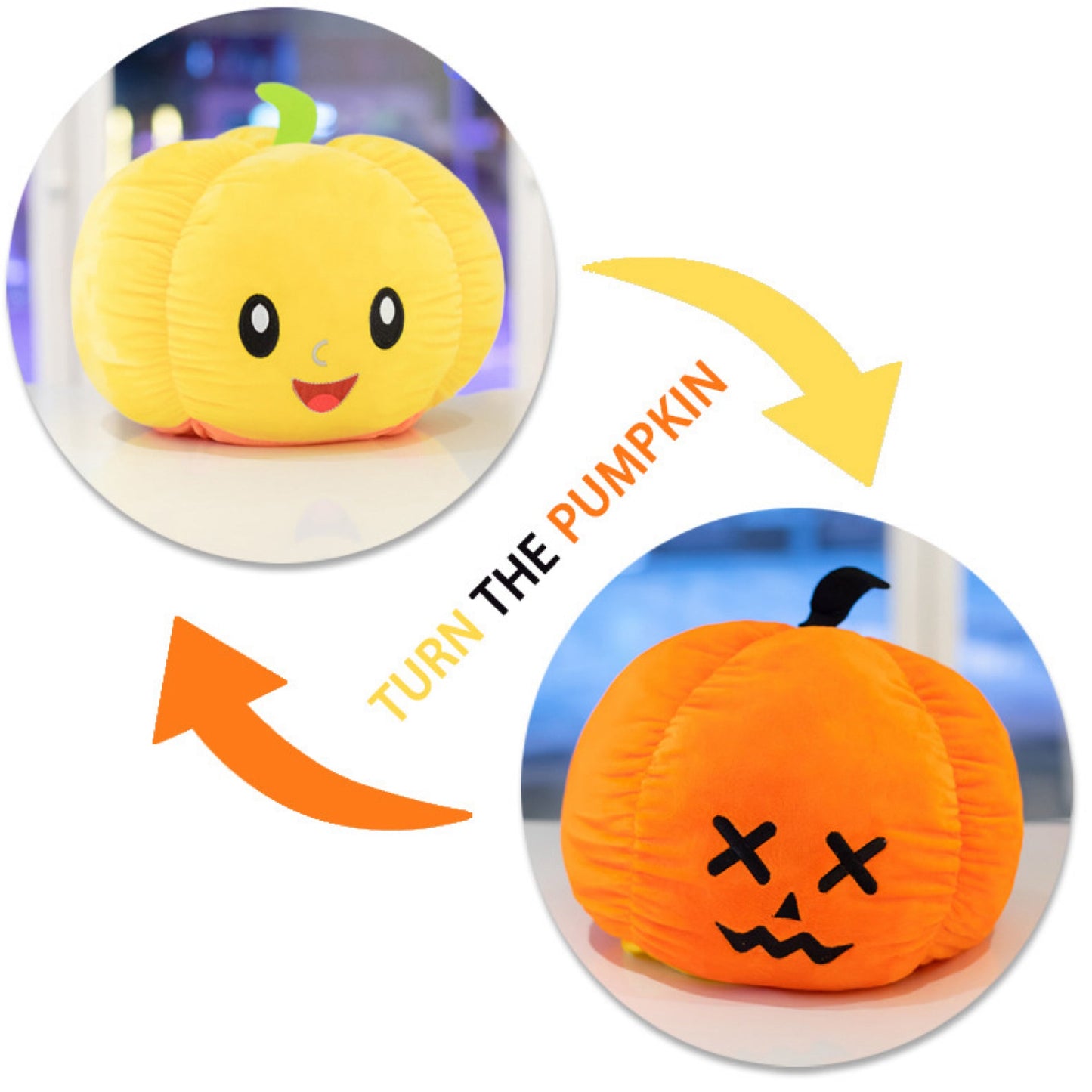 Moody Animals - Pumpkins, Ghost, Dog, & Cat - PREORDER 8/31-9/2
