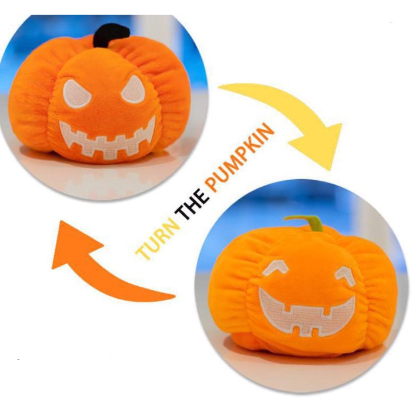 Moody Animals - Pumpkins, Ghost, Dog, & Cat - PREORDER 8/31-9/2