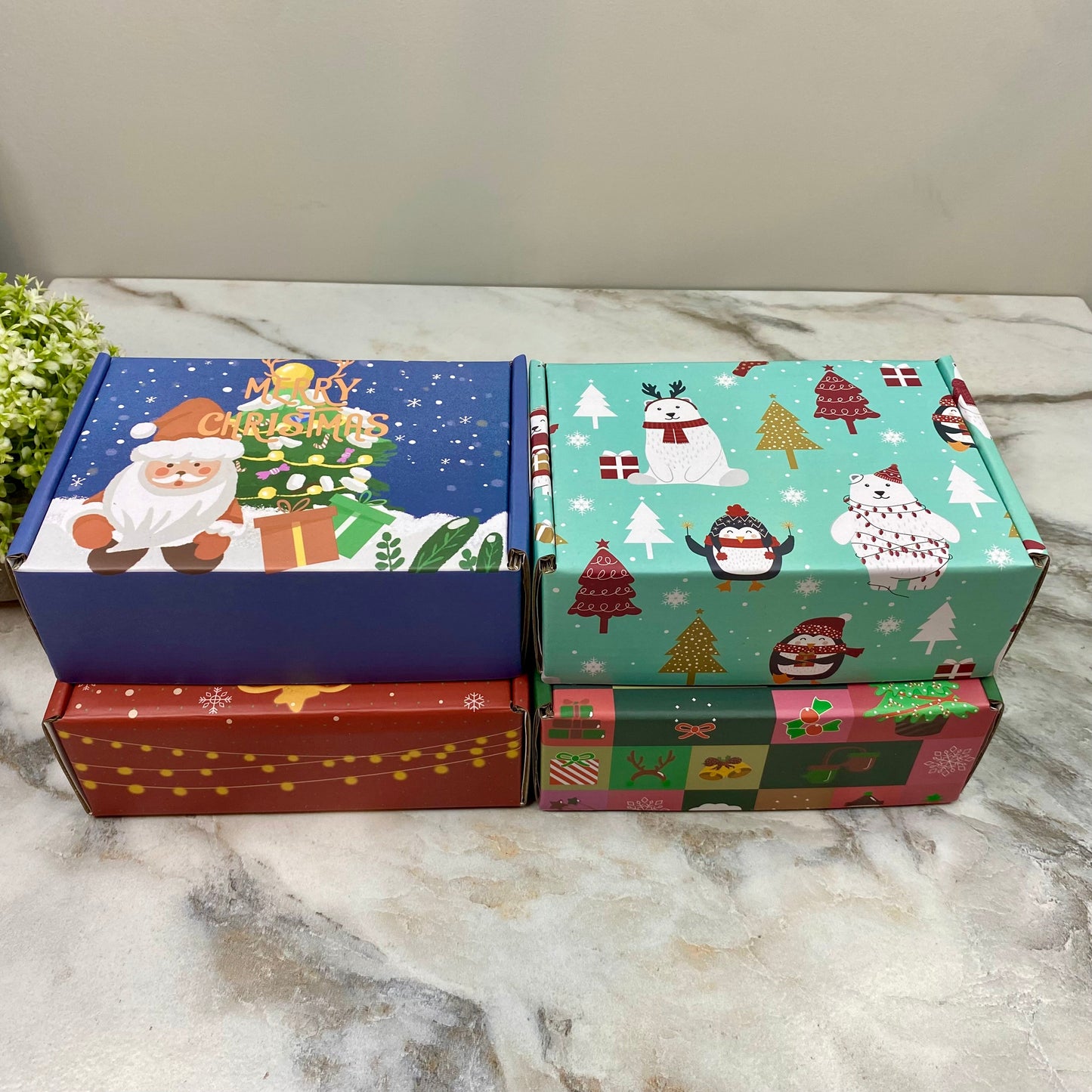 Christmas Gift Box with Crinkle Paper - Small