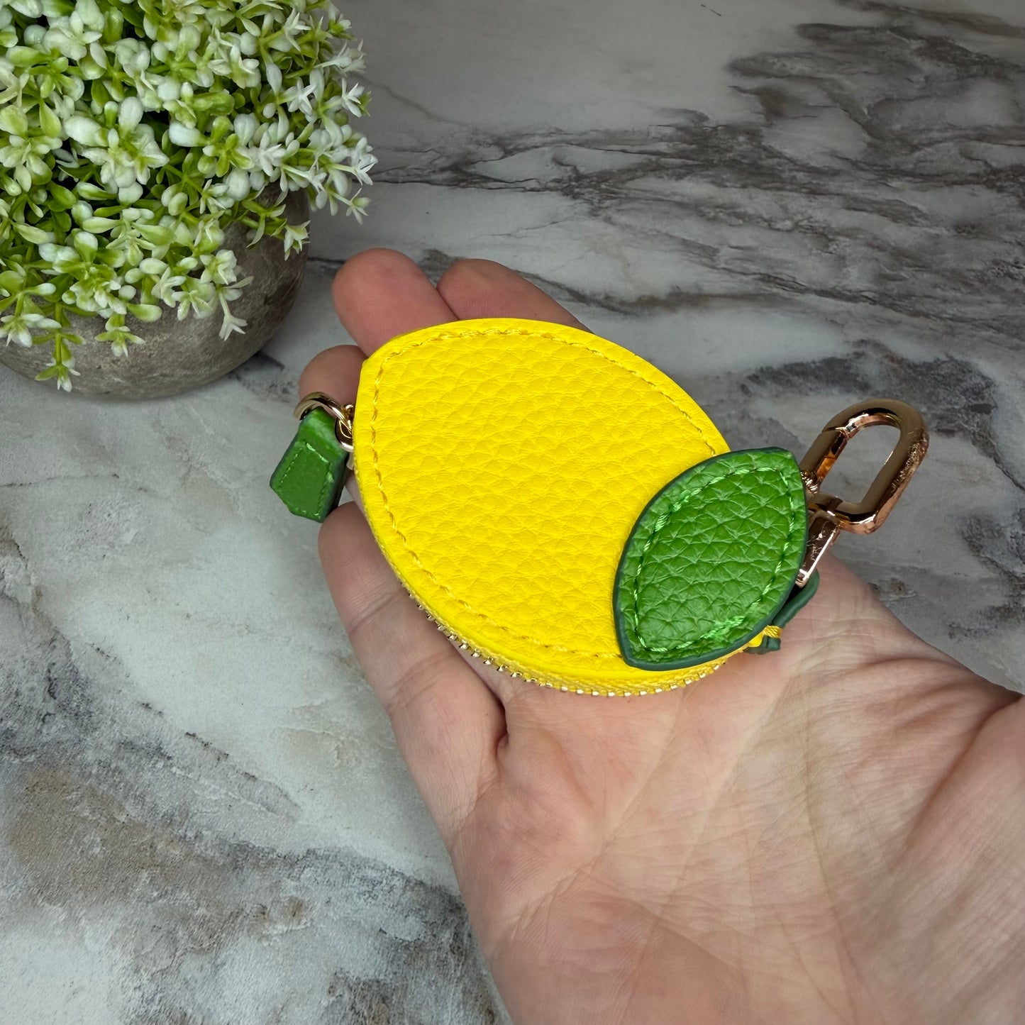 Coin Pouch Wallet - Fruit