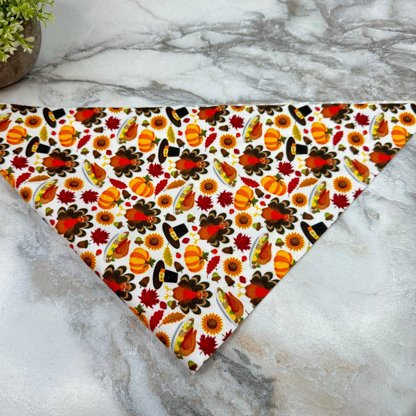 Dog Bandana - Fall - #2